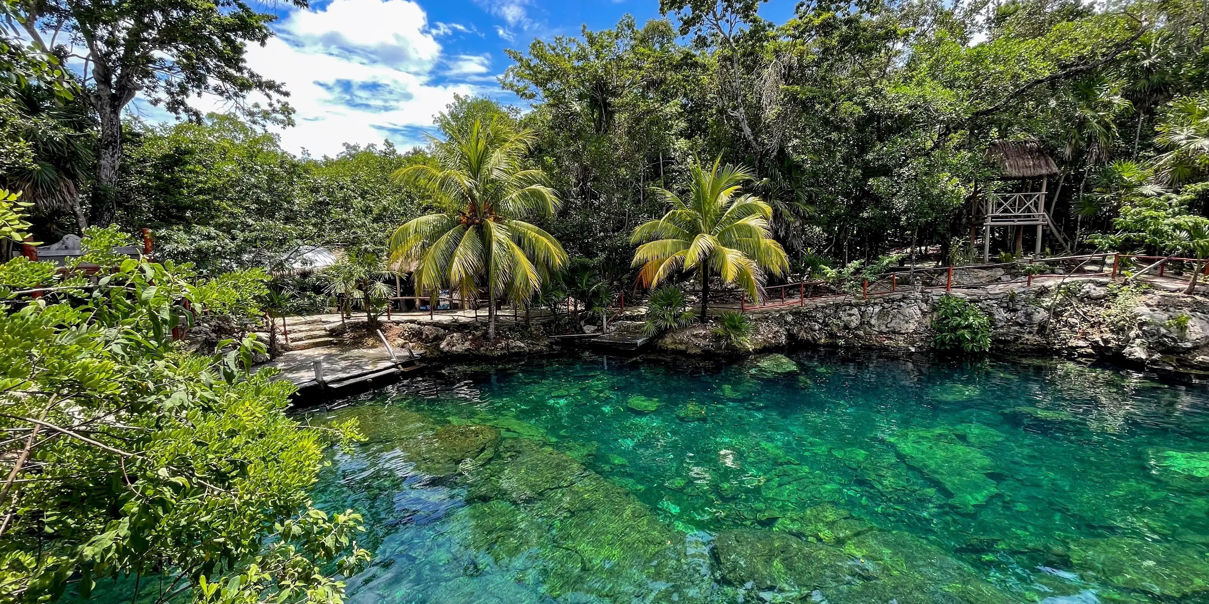 Cenote Casa Tortuga, cuevas y piscinas cerca de Tulum y Playa Del Carmen. Destino turístico de México