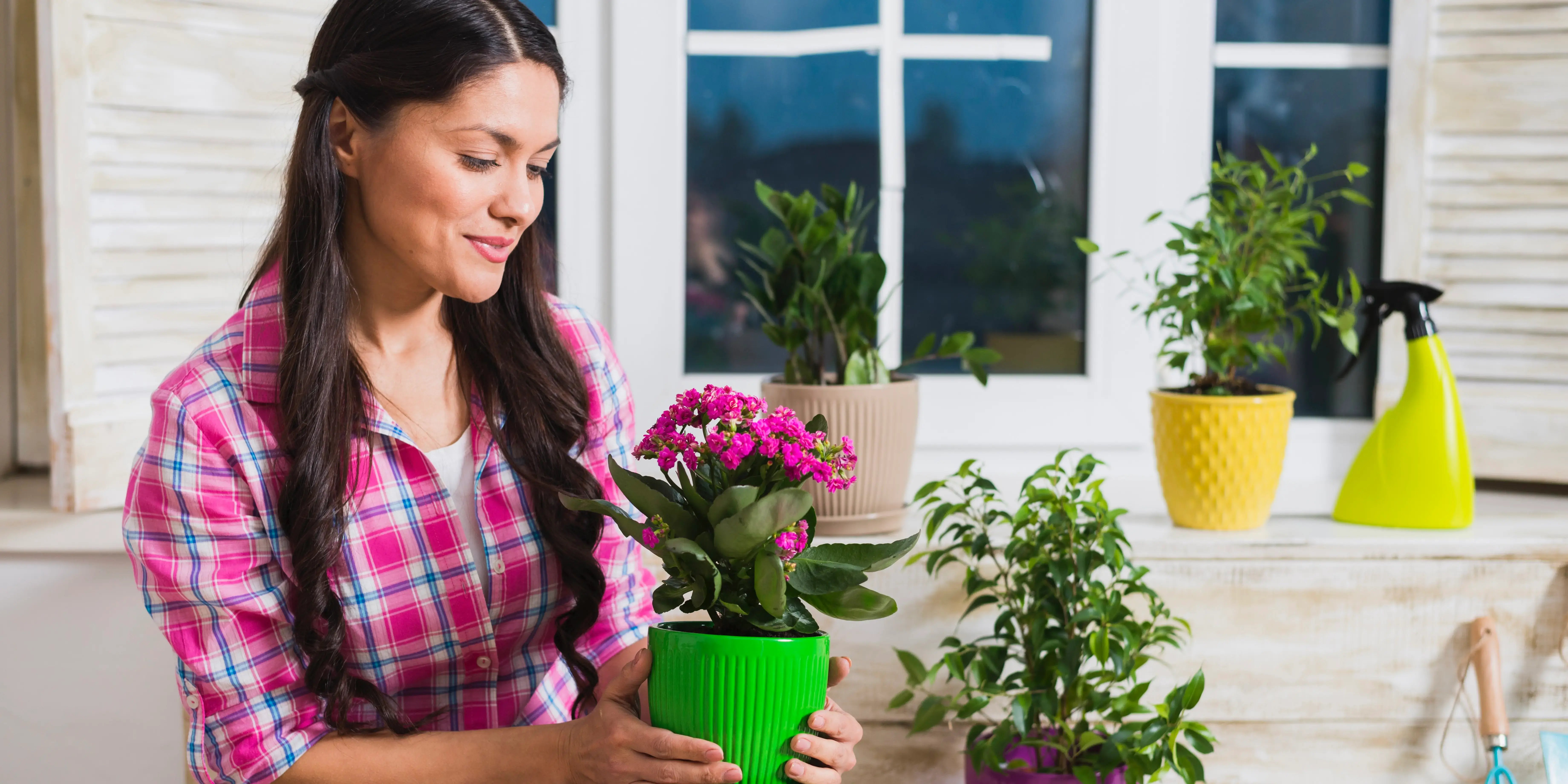 Mujer con macetas. Plantas aromáticas