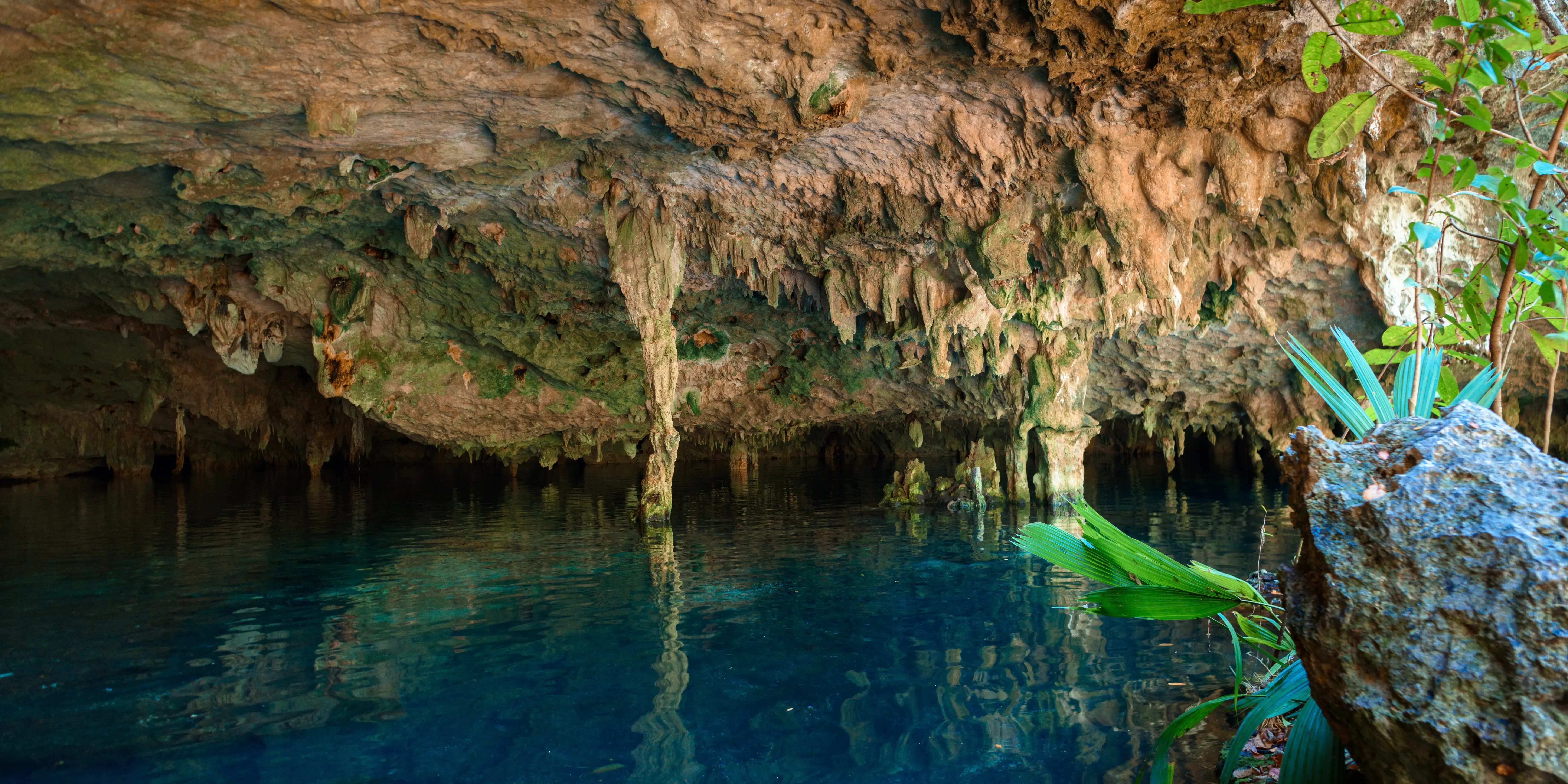 Actividades imperdibles en Playa del Carmen para disfrutar en familia